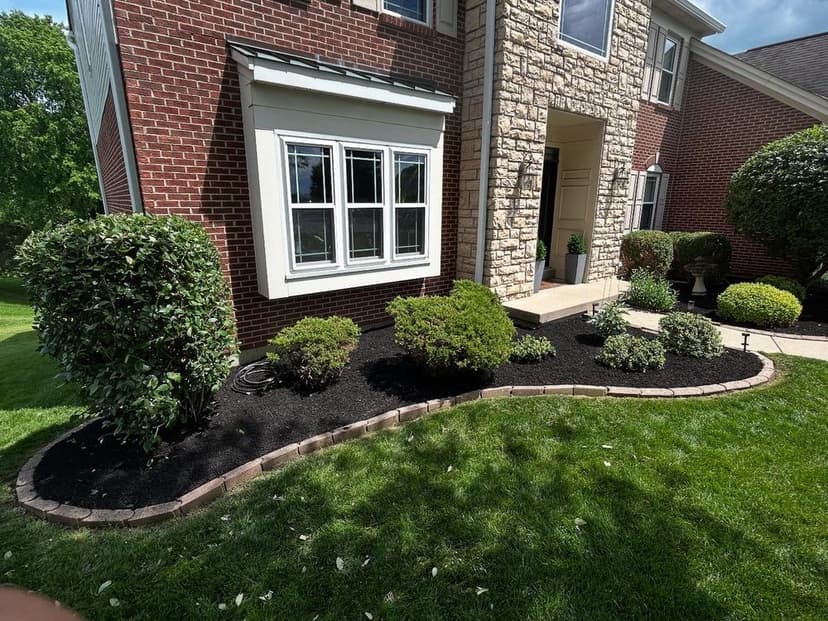 Landscaped front yard with bushes, stone facade, and black mulch around a brick home.