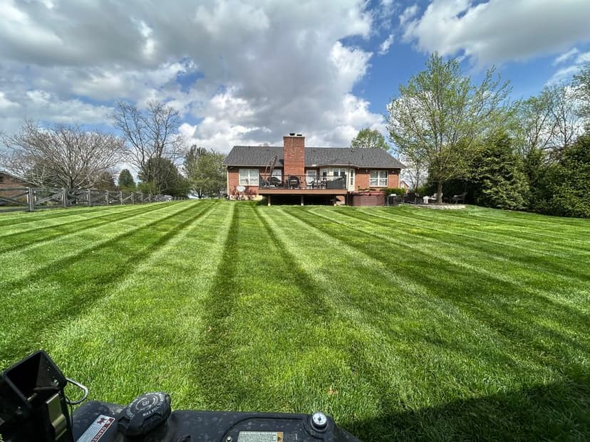 Lush green backyard lawn with striped grass and a house under a cloudy sky.